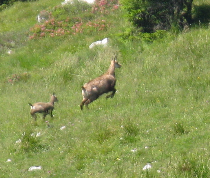 Ricordo dell''estate